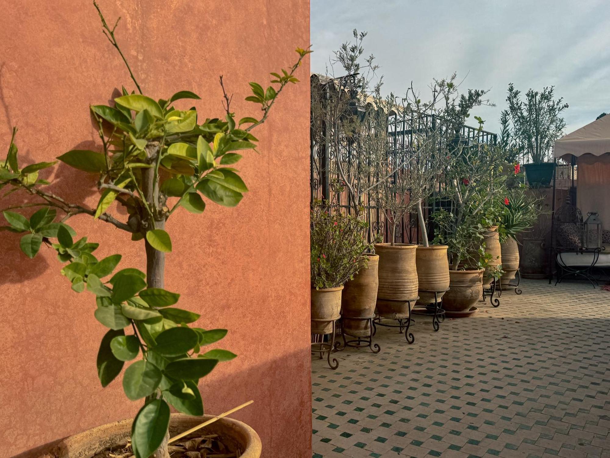 Riad Lapis-lazuli Marrakesh Eksteriør billede